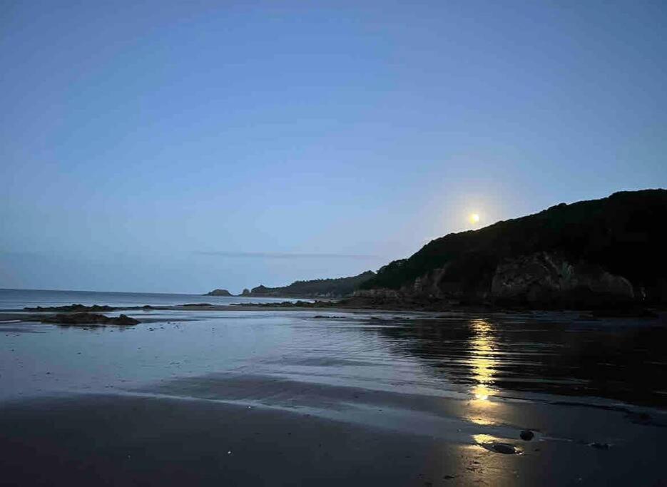 Rhodewood House Saundersfoot Daire Dış mekan fotoğraf