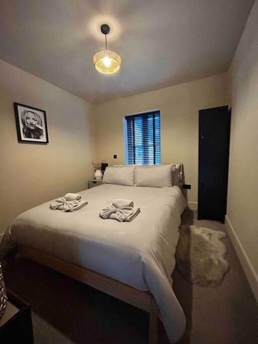 Rhodewood House Saundersfoot Daire Dış mekan fotoğraf